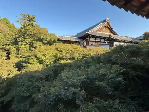 東福禅寺（東福寺）(京都府)