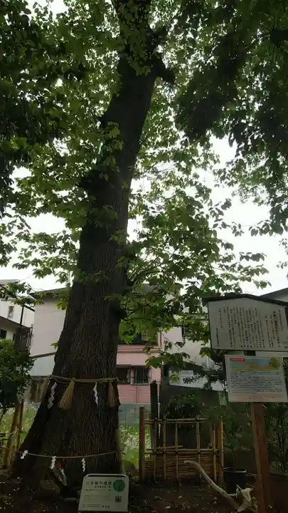 戸越八幡神社のその他建物