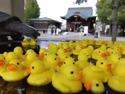 杉杜白髭神社(福井県)
