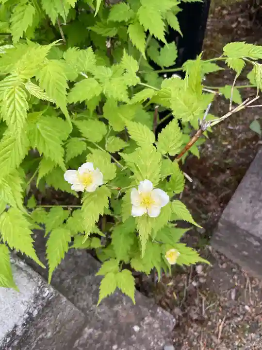 照光寺(長野県)
