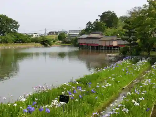 長岡天満宮の庭園