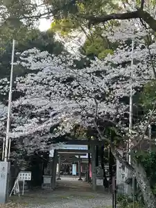 大木神社(三重県)(2023年04月02日(日) 09時50分50秒投稿)