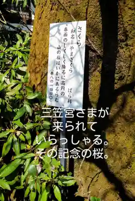 武蔵国分寺の歴史