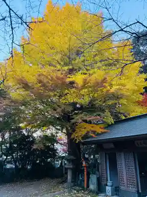 瑞巌寺(徳島県)