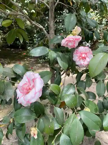 城南宮(京都府)