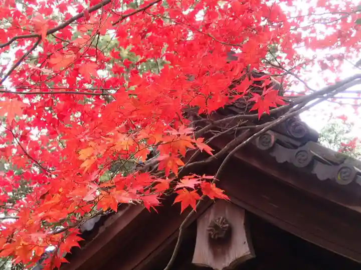 三宅八幡宮の自然