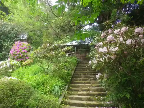 浄光明寺の庭園