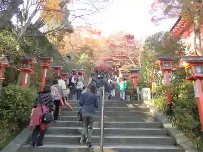 鞍馬寺(京都府)