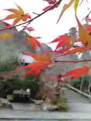 鍬山神社の自然