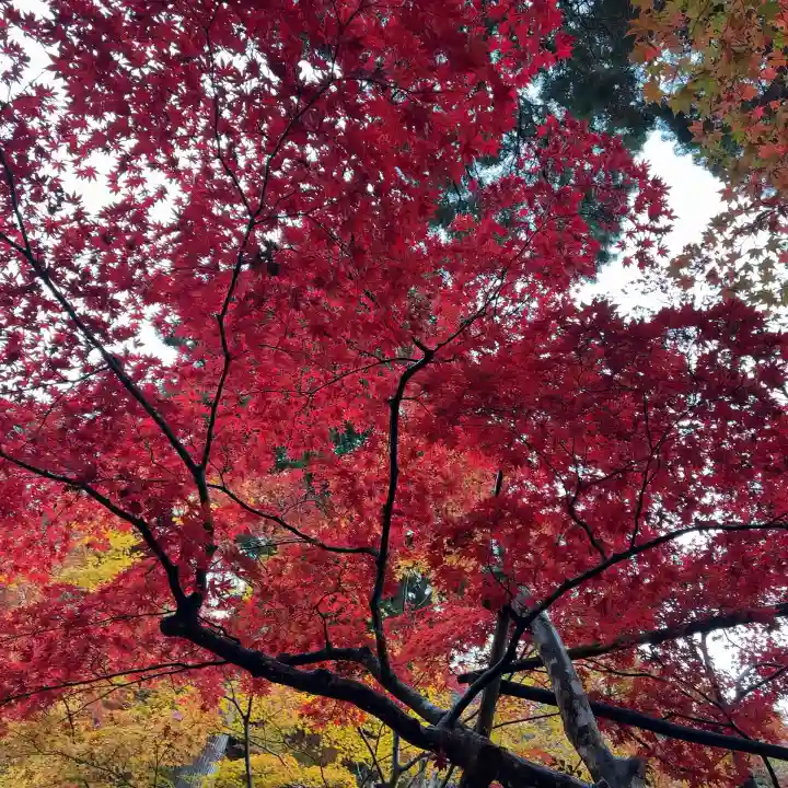 金剛輪寺(滋賀県)