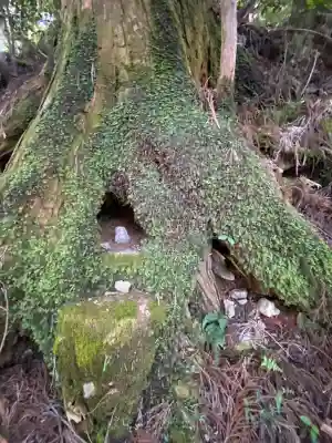 玉置神社(奈良県)