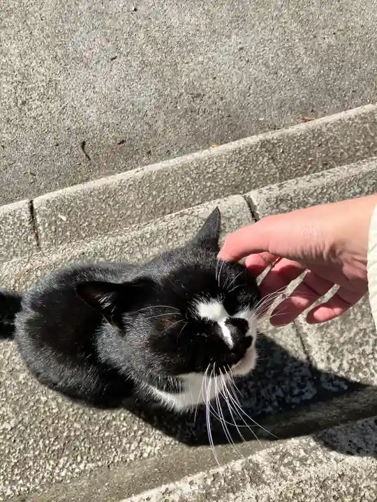 奥氷川神社(東京都)
