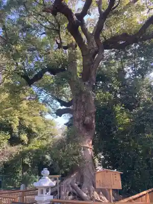 和泉國一之宮　大鳥大社(大阪府)