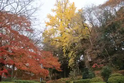三春大神宮の自然