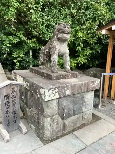 鶴岡八幡宮の狛犬