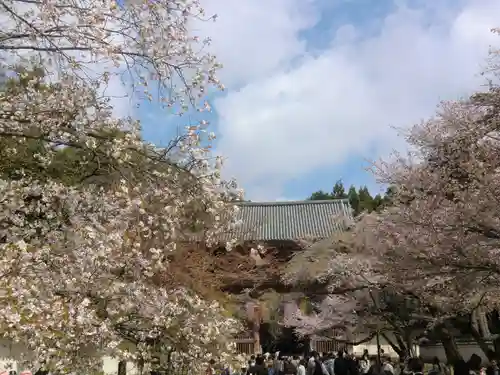 醍醐寺(京都府)