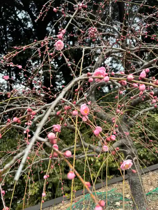 大縣神社(愛知県)