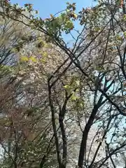 赤城神社(群馬県)