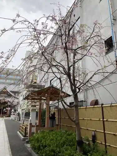 長國寺(東京都)