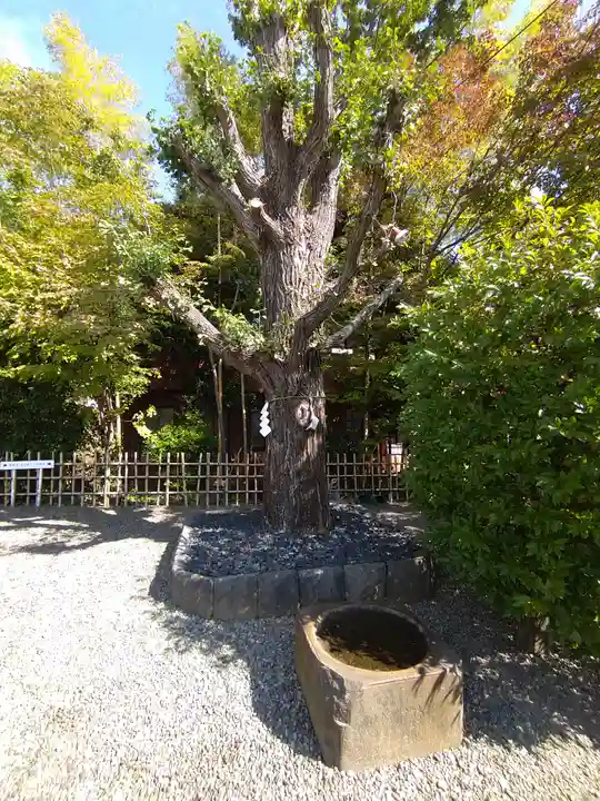 市谷亀岡八幡宮(東京都)