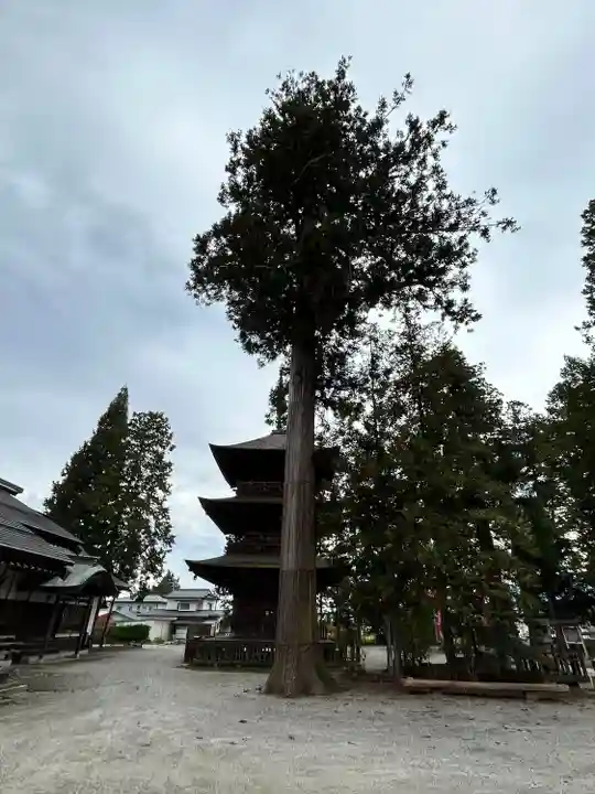 若一王子神社(長野県)