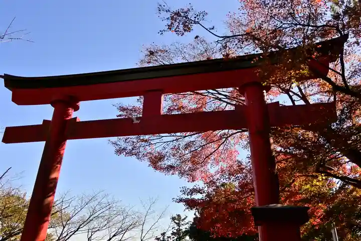 高尾山薬王院の鳥居