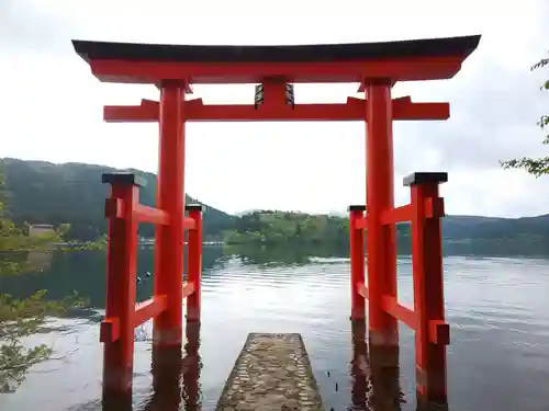 箱根神社の鳥居