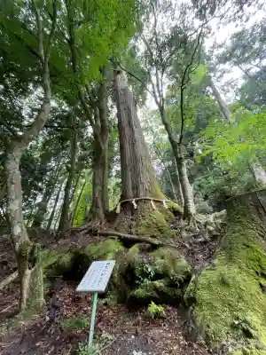 貴船神社(京都府)