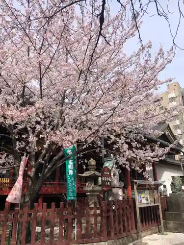 浅草神社の庭園