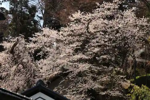 田村神社の庭園