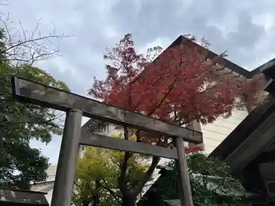 伊勢山皇大神宮(神奈川県)