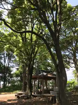 天疫神社(福岡県)