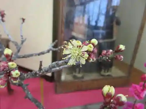 菅原天満宮（菅原神社）の自然