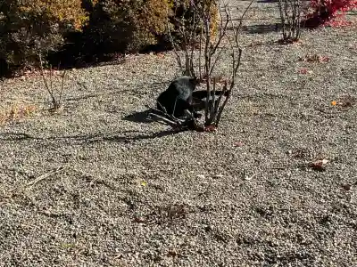 長福寺(長野県)