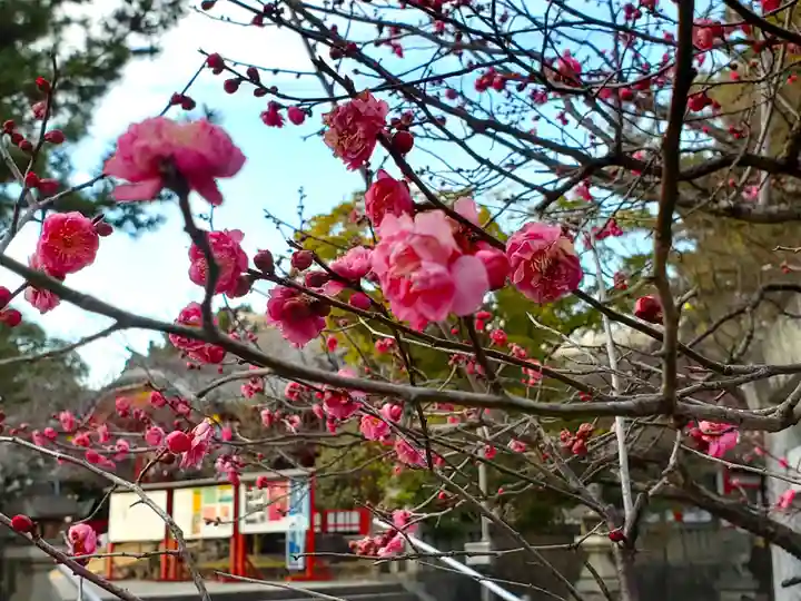 市原稲荷神社の自然