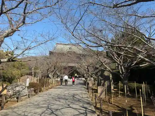 建長寺の{uncategorized: "未分類", other: "その他", undefined: "問題あり", building: "その他建物", grave: "お墓", sacred_gate: "鳥居", guardian: "狛犬", statue: "像", buddha: "仏像", history: "歴史", nature: "自然", garden: "庭園", animal: "動物", pagoda: "塔", temizu: "手水舎", mountain_gate: "山門・神門", sanctuary: "本殿・本堂", subordinate: "末社・摂社", art: "芸術", scenery: "景色", jizo: "地蔵", ema: "絵馬", goshuin: "御朱印", omikuji: "おみくじ", items: "授与品その他", amulet: "お守り", goshuincho: "御朱印帳", eats: "食事", festival: "お祭り", votive_dance: "神楽", shichigosan: "七五三参", wedding: "結婚式", experience: "体験その他", initially: "初詣", around: "周辺", anti_infection: "感染症対策"}