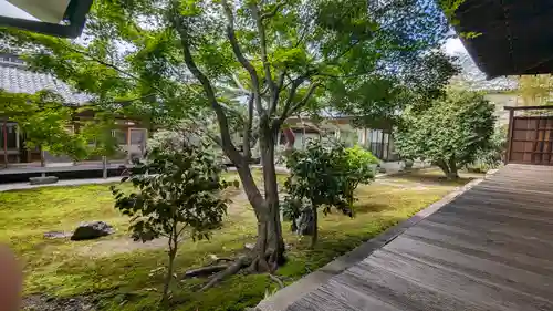 妙覺寺（妙覚寺）(京都府)