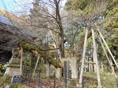法用寺（雀林観音）(福島県)