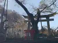足羽神社(福井県)