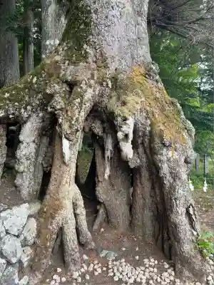 富士山東口本宮 冨士浅間神社(静岡県)