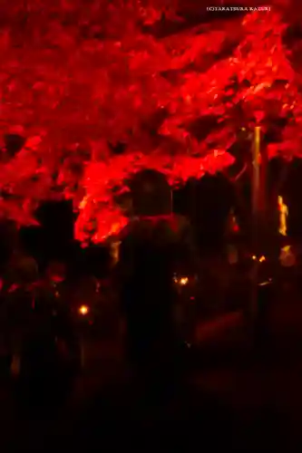 大山寺(神奈川県)