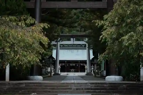 武田神社の鳥居