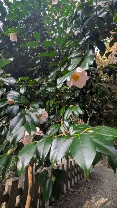 大豊神社(京都府)
