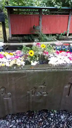 前玉神社の手水舎