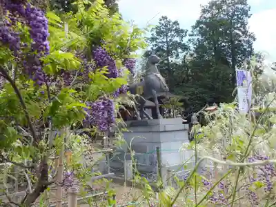 志那神社の自然