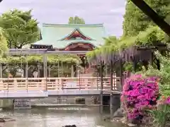 亀戸天神社の庭園