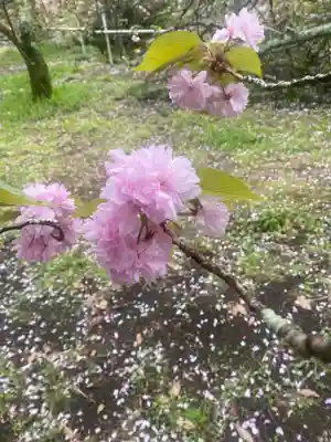 一心寺(大分県)