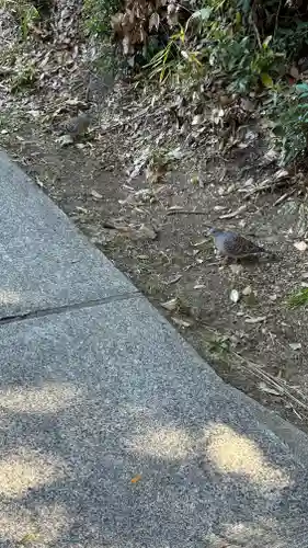 意賀美神社(大阪府)
