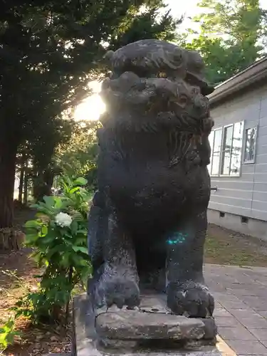 今金八幡神社の狛犬