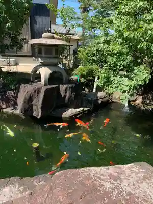 照源寺(三重県)